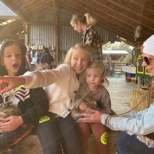 Meet your Posher, Taimi